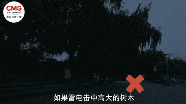 雷击致公园凉亭坍塌6kaiyun中国官方网站人遇难！雷电天气如何避险？(图3)